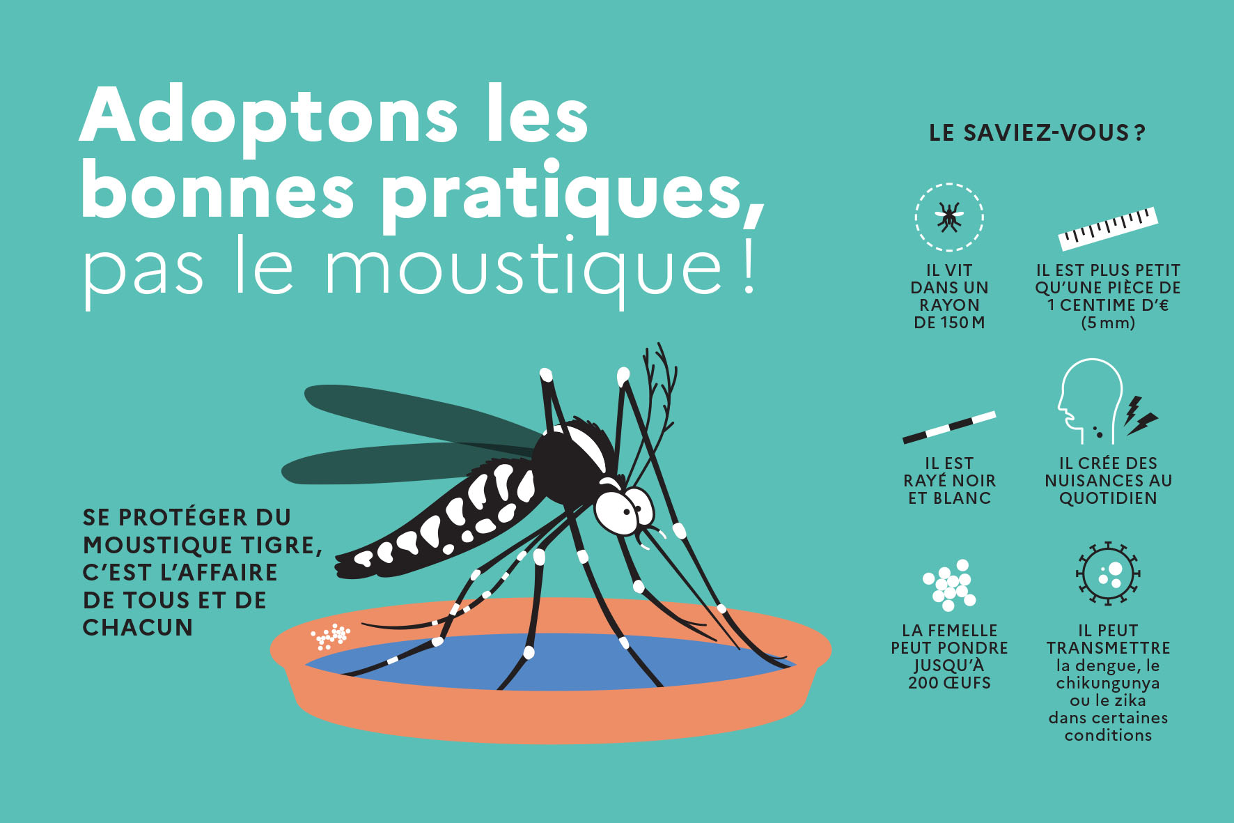 Moustique tigre prevention